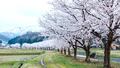 写真2